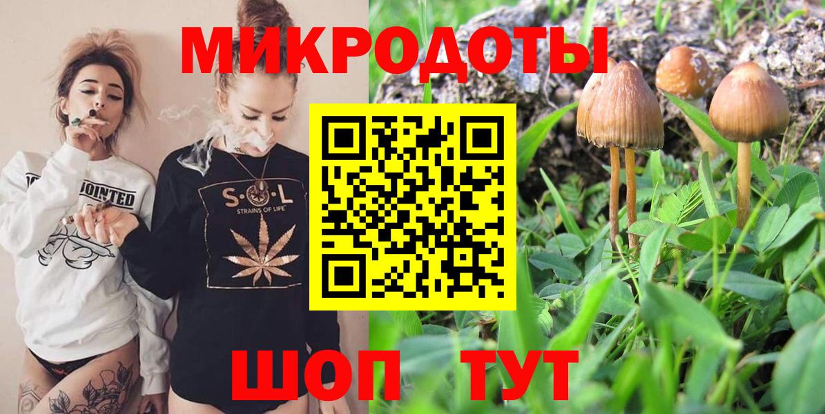 Галлюциногенные грибы прущие грибы  Псилоцибиновые грибы GOLDEN TEACHER  Вход с VPN  Каменка 